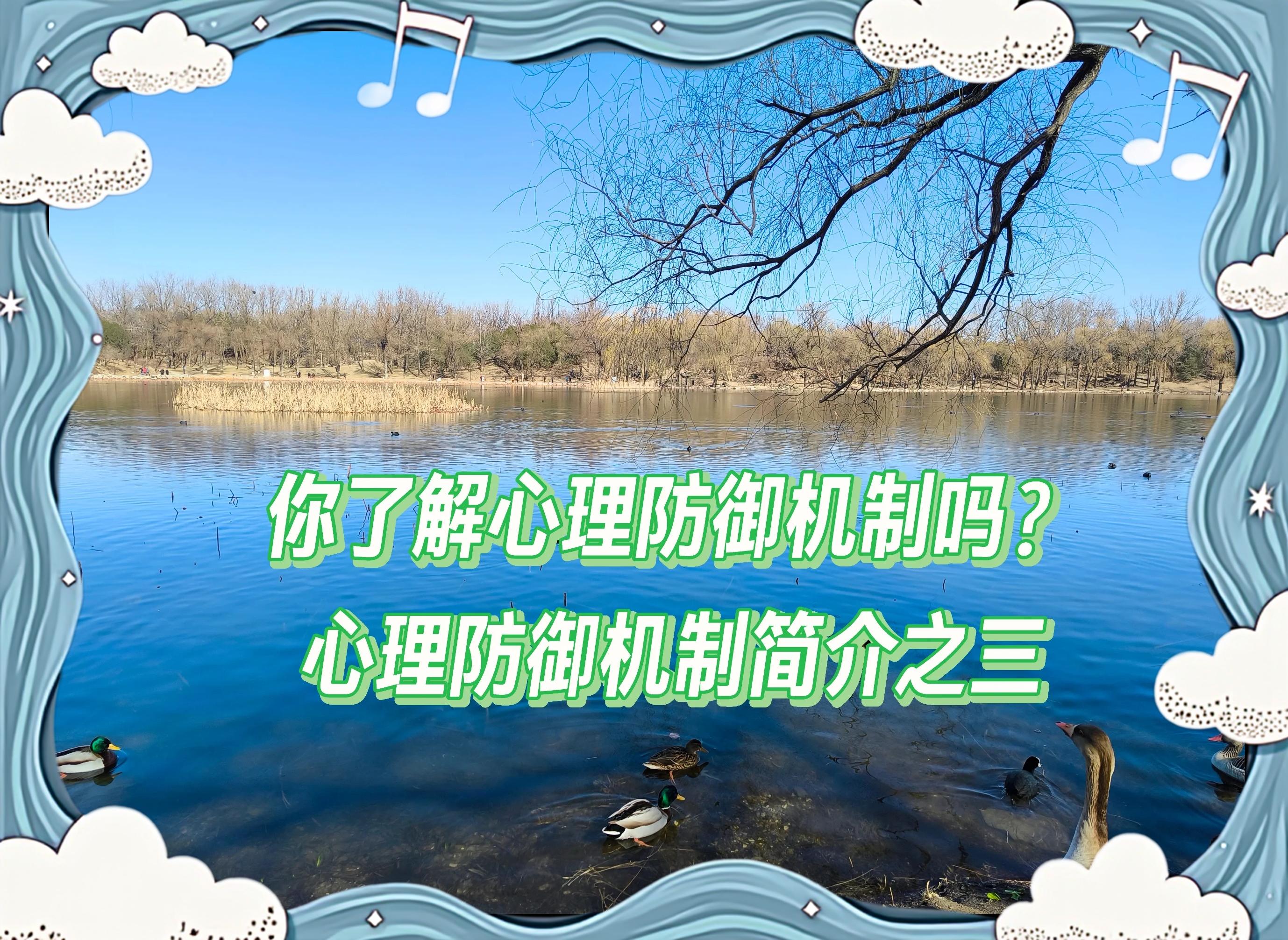 关于电竞选手心理压力：如何应对压力，保持最佳状态的信息